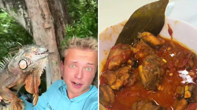 "If you gave me this and told me it was fish, I would not be able to tell."