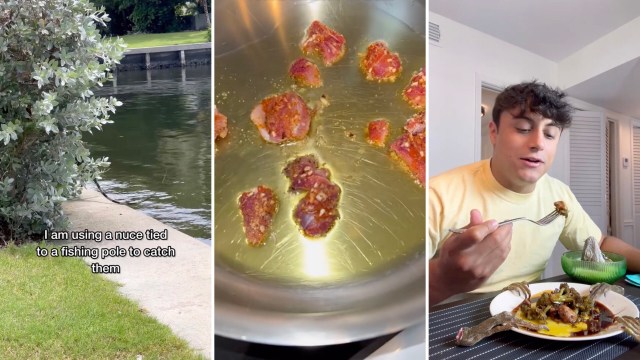 There were lots of curious people in the comments.