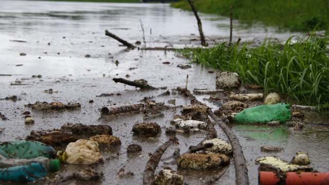 "All three department staff witnesses ... testified that the site is the largest illegal waste disposal site they have encountered."