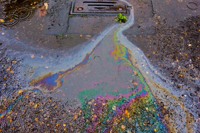 Police are working to identify and apprehend another person they believe assisted with the crime.