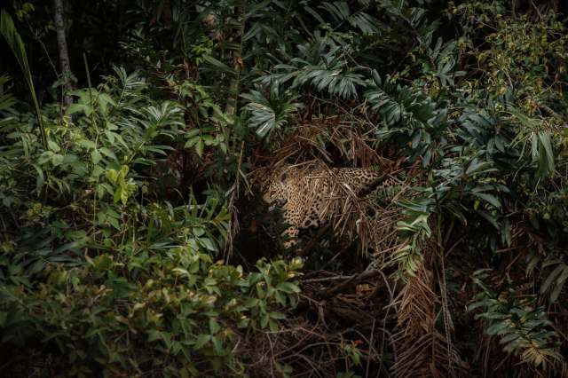 "To do science, sometimes all you need is ingenuity and dedication."