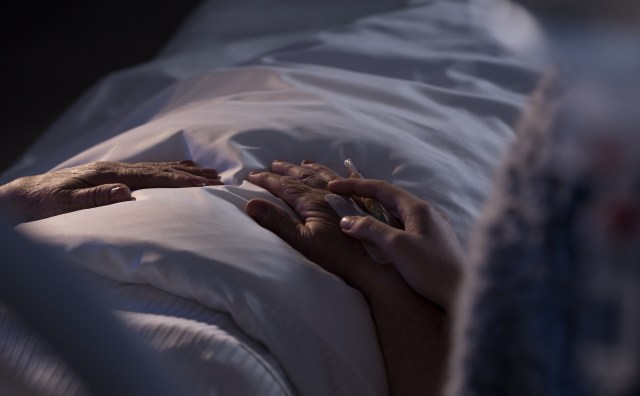 This surge is part of a broader global trend.