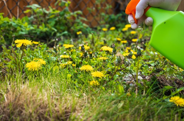 "It brings me closer to my goal of using science to help people."
