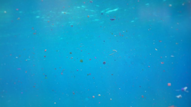 "Follows some unusual pathway."