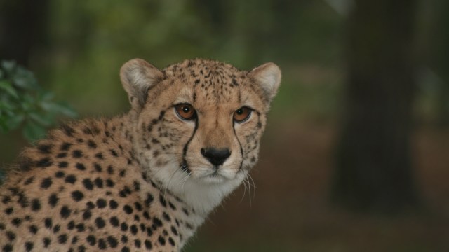 "My soul would've left my body."