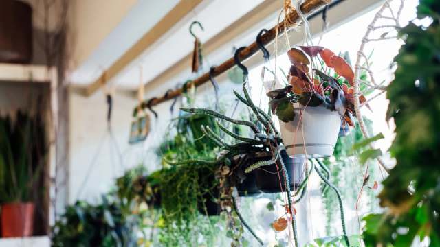 Commenters suggested ways to take action.