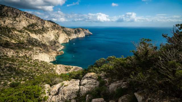 "You have to imagine the snakes as if they were an actual wave, devouring what they find."