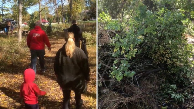 Several of these species, especially privets, are known to aggressively overpopulate native plants in the area.