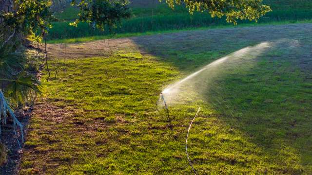 "It’s honestly been a frustrating process, as well as a waste of time and money."