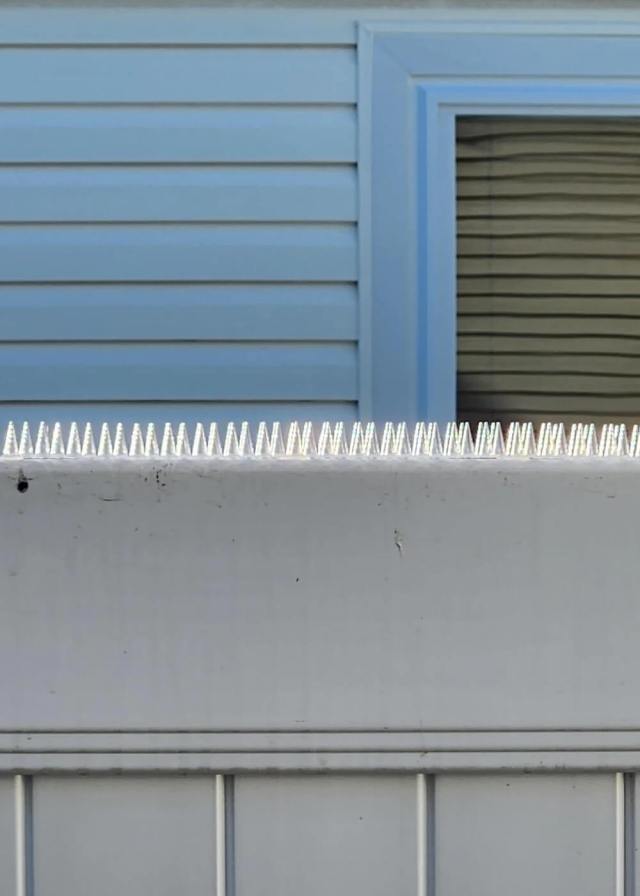 "That's definitely an indication of what your neighbor thinks."