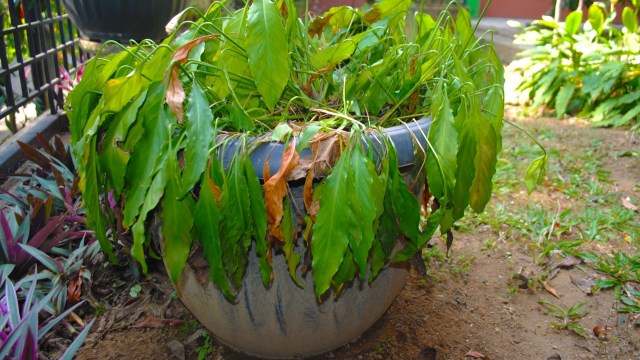 "Send a bill to the HOA."