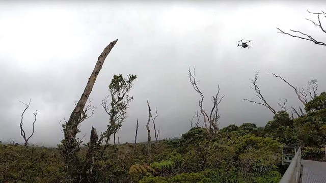 "These drone and mosquito suppression advancements have come just in time."