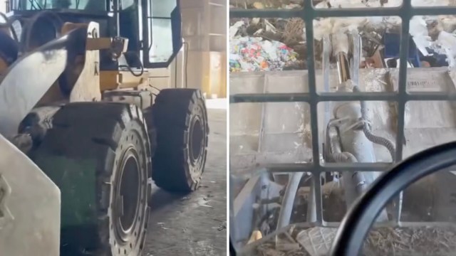 "This is upsetting to see."