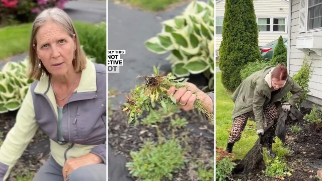 "Everything about it is bad."