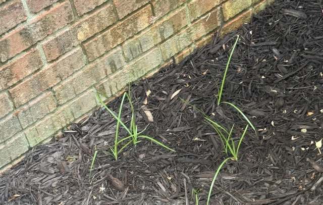 "Ongoing maintenance is a reality."