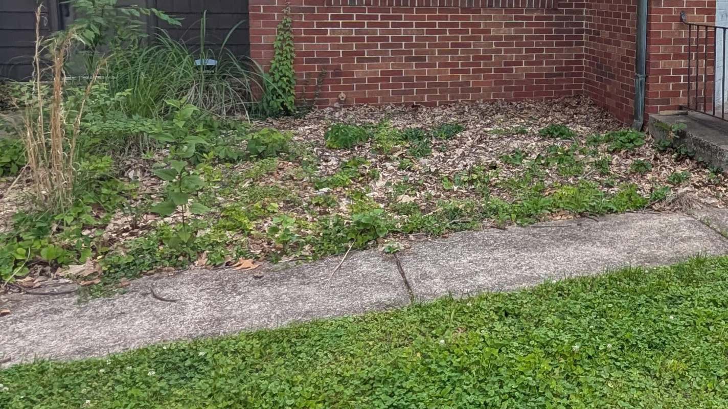 Commenters offered alternative solutions.