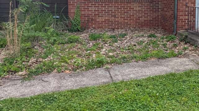 Commenters offered alternative solutions.