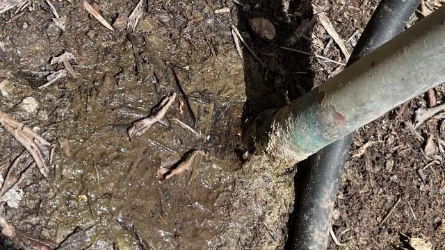 "Welcome to home ownership."