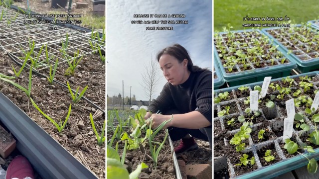 "Really helpful to keep out things you don't want."