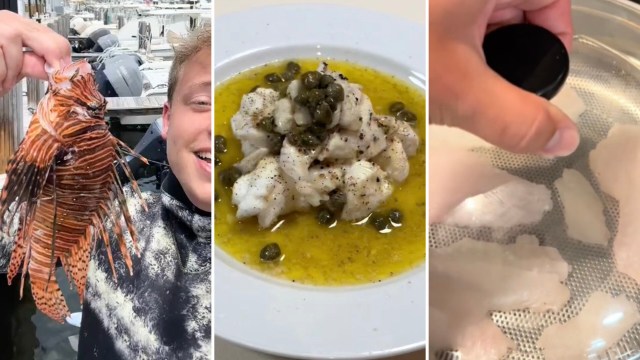 "You should make a company where people pay you to take them to catch their dinner and then teach them how to cook it."