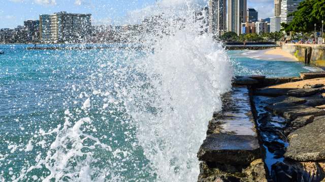 They’re built for resilience.