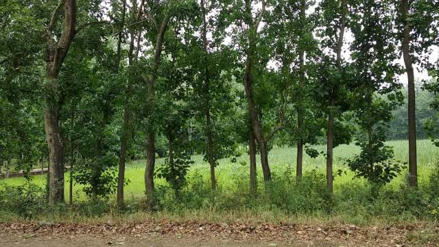 Officials are excited.