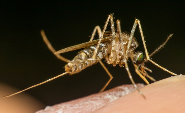 "Displaced communities are often left unprotected."