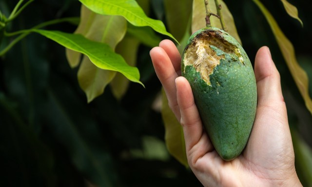 Attacking the root of the problem holds greater promise.