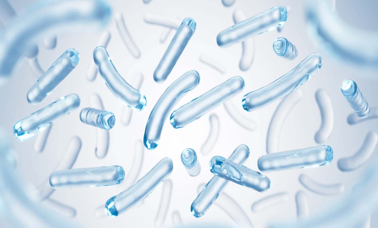 "Fish remains a major and culturally important part of the diet for many people around the world and we hope it continues to be."