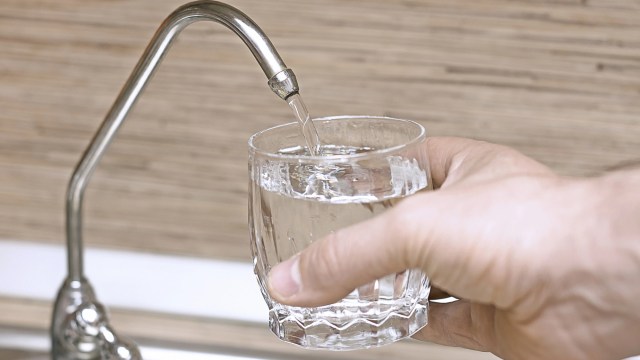 "We have been using this system for 100 years, but we don't really know why it works."