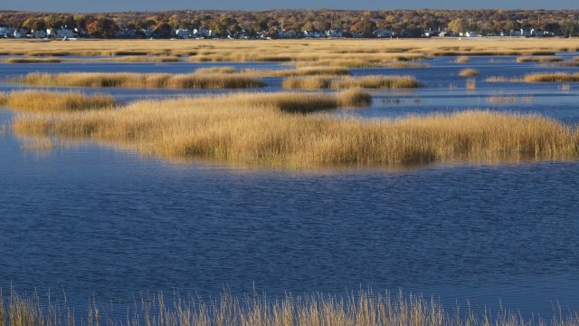 Continuous efforts to protect the water are key.