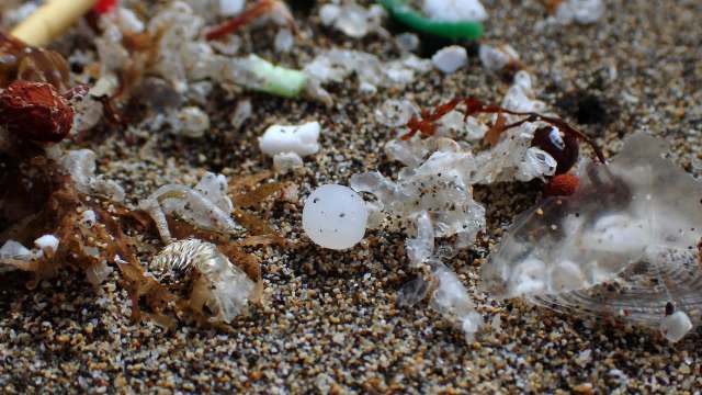 "In a perfect world, yes, we’d all be using the same protocol."