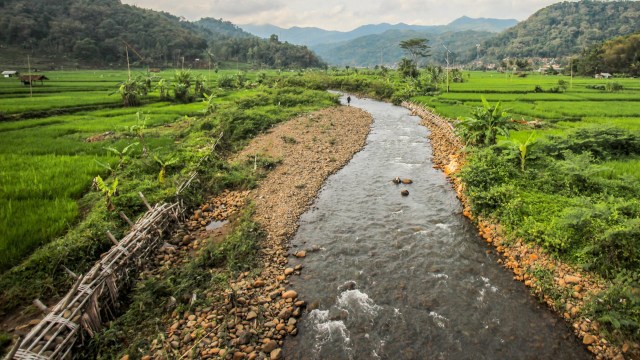 "Although there are already biological methods ... the effectiveness and cost efficiency remain challenges."