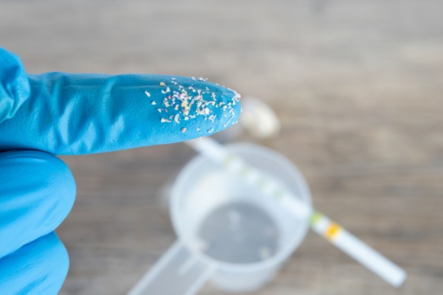 "We don't know if they have a direct effect on the capacity of a couple to conceive and carry a baby to term."