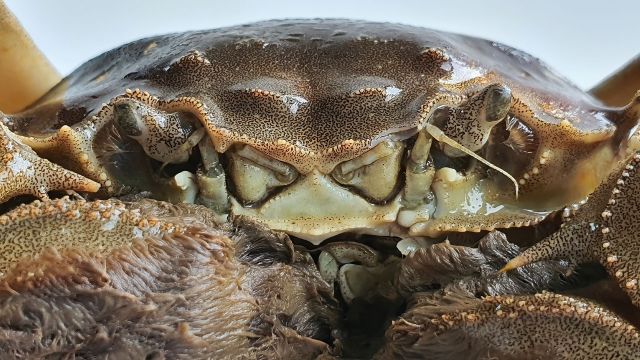 The conditions seem to be expediting plastic pollution degradation.