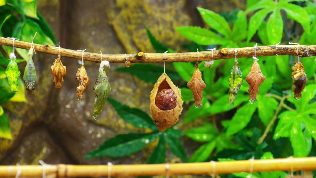 "We're the future generation to take care of our planet."