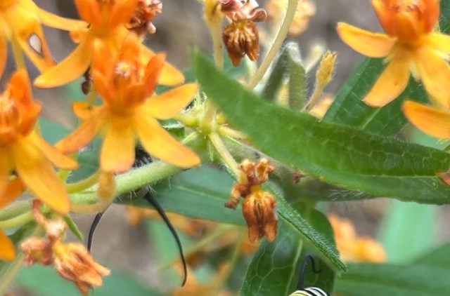 "Congratulations! Such a great feeling."