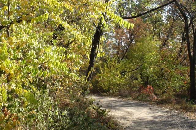 "Don't be aggressive."