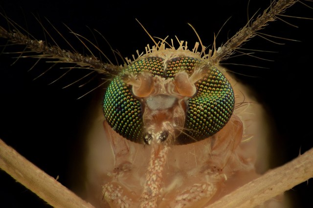 Across the world, governments are trying to find solutions.