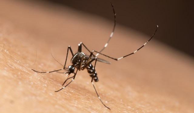 "Can cause serious illness."