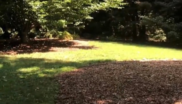 "I didn't know this."