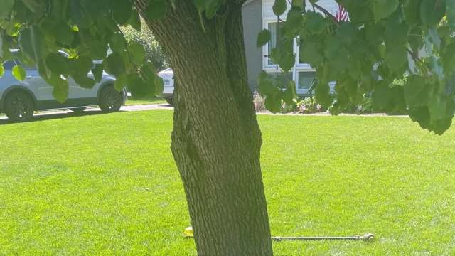 "It would be helpful to carefully dig down."