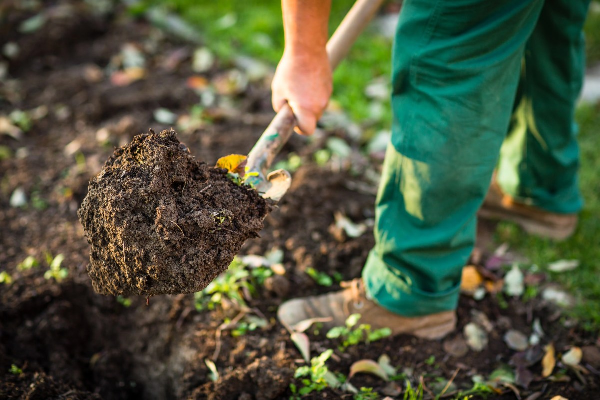 "That's absolutely gorgeous."