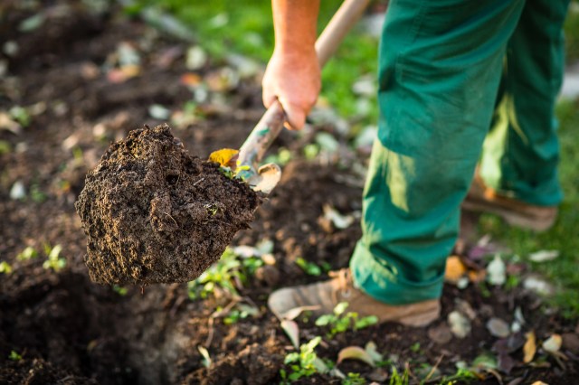 "That's absolutely gorgeous."