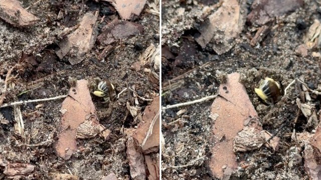 It's a growing trend and a positive one that works in everyone's favor.