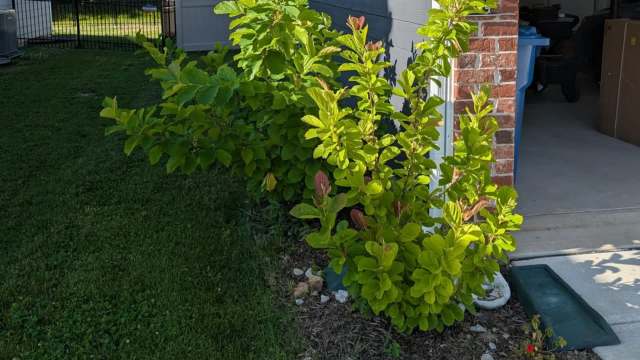 "Our HOA is pretty active/confrontational."