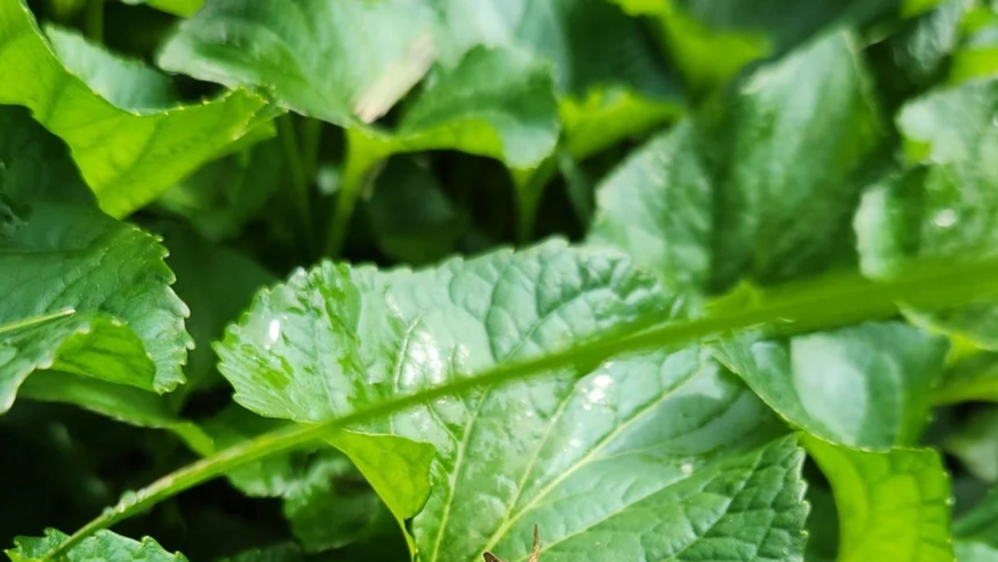 "Thanks for giving them a place to live."