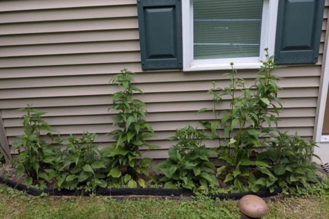 "They need to pay you money."