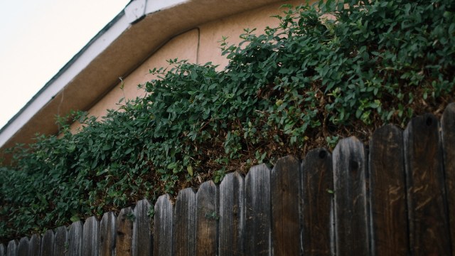 It wouldn't be the first time that a neighbor had been found to be causing issues.