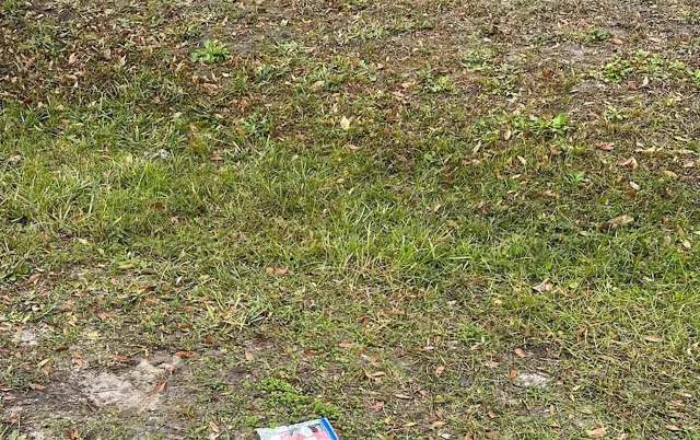 Others did not hold back their comments.